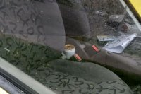 wnętrze samochodu z widoczną puszką piwa między siedzeniami