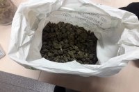 Zabezpieczona przez policjantów marihuana