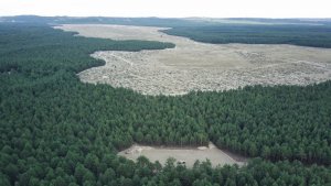 Widok z drona na teren pustyni Błędowskiej