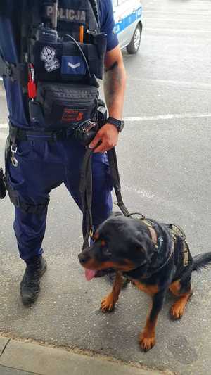 Umundurowani policjanci, strażacy, ratownicy medyczni i wodne ochotnicze pogotowie ratunkowe nad brzegiem zbiornika wodnego Pogoria 3 podczas inauguracji kampanii &quot;Kręci mnie bezpieczeństwo nad wodą&quot;